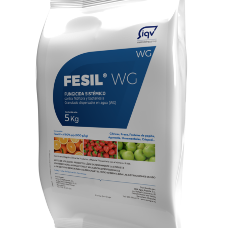 FESIL WG