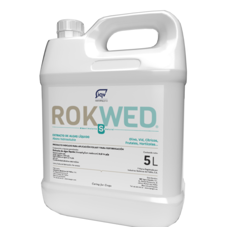 ROKWED®