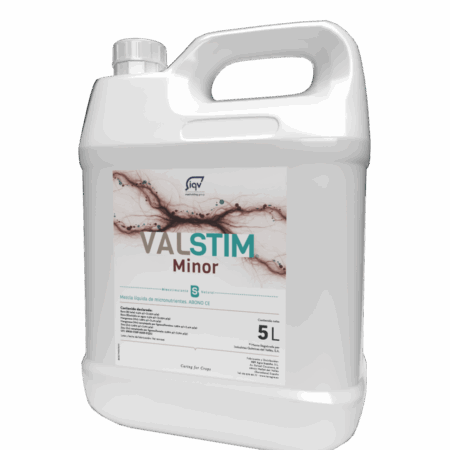 VALSTIM® Minor