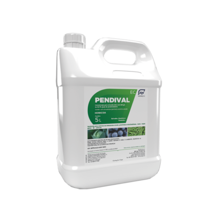 Pendival