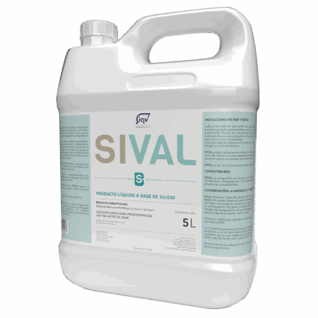 SIVAL®