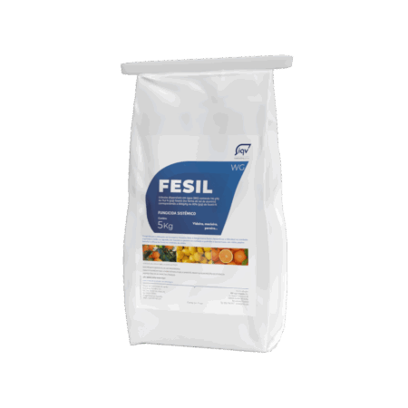 Fesil