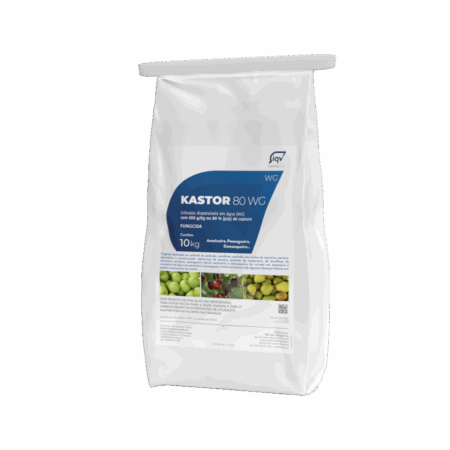 Kastor 80 WG